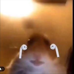 Meet your Posher, Jerry